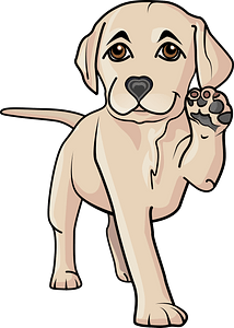 Random tallest image